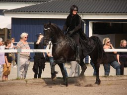 IMG_0786_web